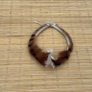 Umqhele kids (nyamazane)