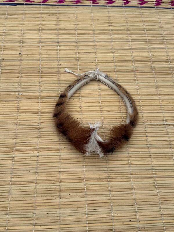 Umqhele kids (nyamazane)