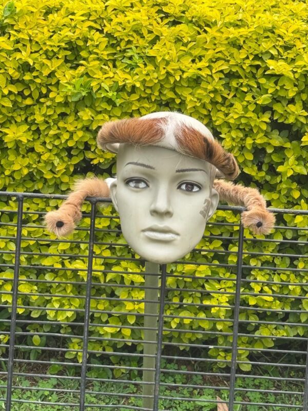 Umqhele tail (nyamazane)