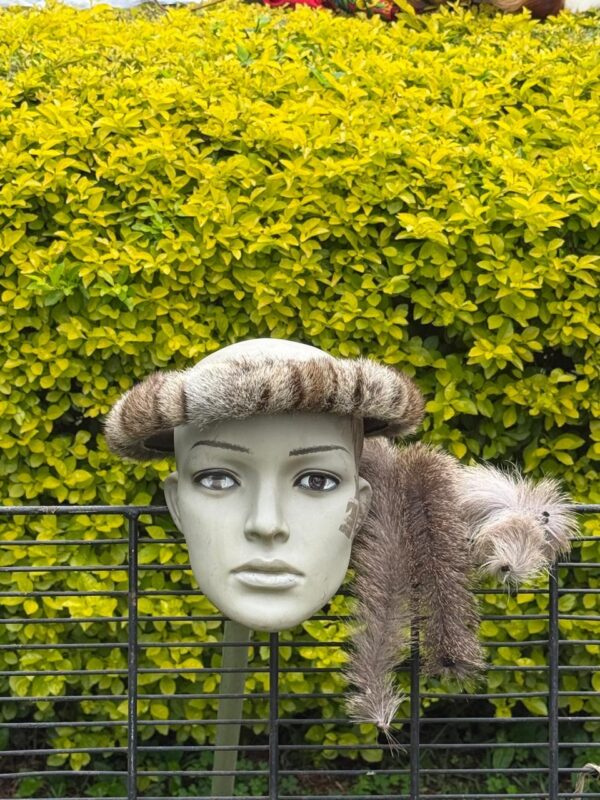 Umqhele tail (intsimba)